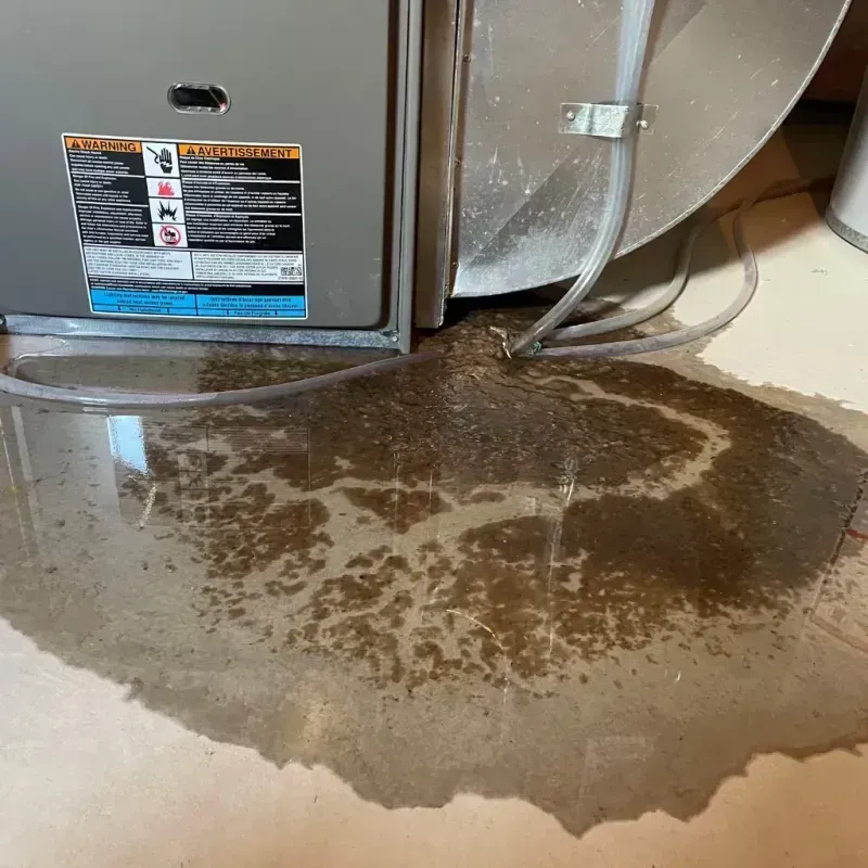 Appliance Leak Cleanup in Ogdensburg, NY